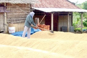 Gỡ khó cho nông dân