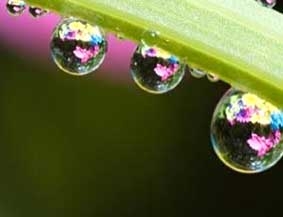 Sản xuất điện từ lá nhân tạo