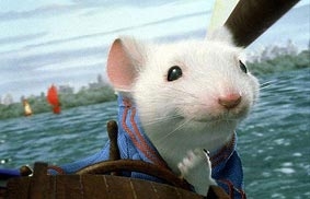 Câu chuyện về tình thương yêu với loài vật