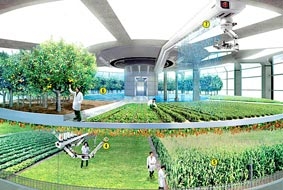 Hàn Quốc sắp có “chung cư nông trại”