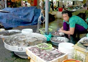 Đón hàng mùa lũ...