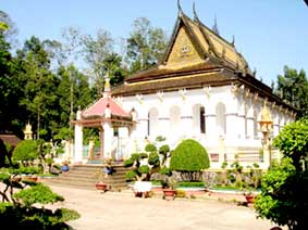 Những cây cổ thụ trong các ngôi chùa Khmer ở Trà Vinh