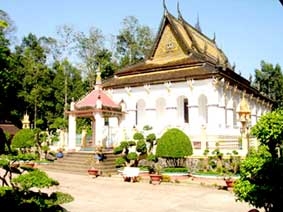 Những cây cổ thụ trong các ngôi chùa Khmer ở Trà Vinh