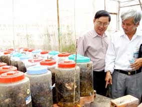 Hướng đi nào để sản phẩm trí tuệ gắn với cuộc sống?