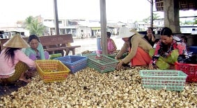 Tạo việc làm, tăng thu nhập cho nhà nông