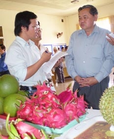 Phát triển cây ăn quả đặc sản còn thiếu bền vững