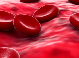 Chế tạo máu từ tế bào gốc