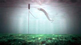 Những phát kiến “xanh” quái chiêu