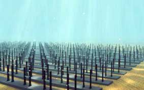 Những phát kiến “xanh” quái chiêu