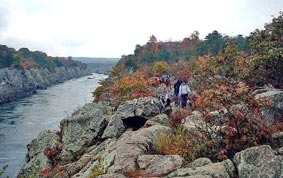 Cầu hôn nhớ đời !