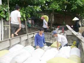 Nông dân lại lo lúa khó tiêu thụ!