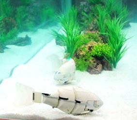 Hàn Quốc chế tạo robot cá