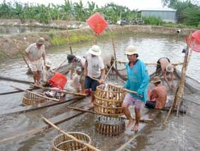 Cần chọn hướng đột phá...