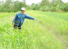 Thời gian thi công kéo dài, người dân bức xúc