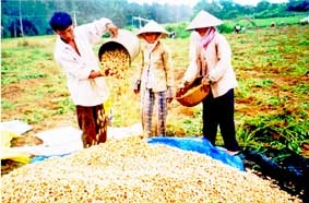 Niềm vui giữa hai mùa Đôl-ta