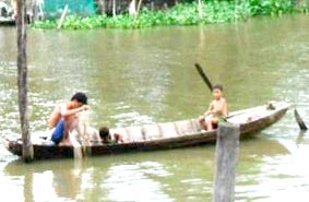 Bấp bênh nghề đánh bắt cá mùa lũ