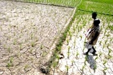 Ấn Độ trong cơn đại hạn