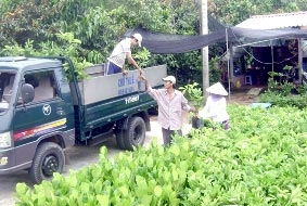 Sức mua tăng cả tháng cuối mùa