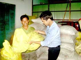 Sản xuất lúa gắn với nhu cầu thị trường