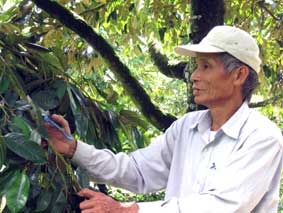 Những nông dân giàu ý chí