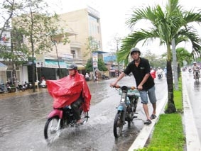 Ứng phó bằng sự thân thiện với môi trường