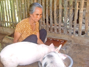 Đảng viên lo cho dân nghèo