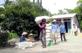 Thận trọng khi trữ lúa chờ giá tăng thêm