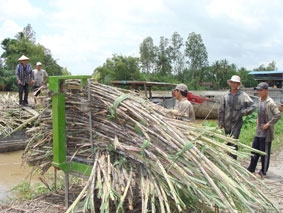 Tự làm yếu mình!