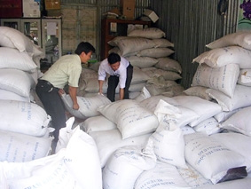 Thiếu lúa giống chất lượng cao