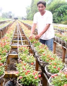 Chàng trai mê... hoa