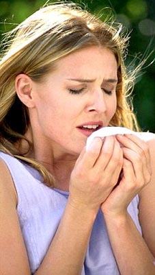 Những hiểm họa từ... hắt hơi