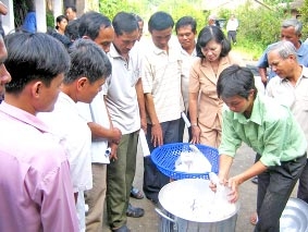 Giải pháp giảm chi phí và kháng rầy cho lúa trên diện rộng