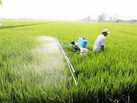 Phạm Hoàng Thắng<br> <i>Duyên nợ với nhà nông</i>