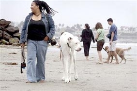 Ốm yếu nhưng vẫn lập kỷ lục