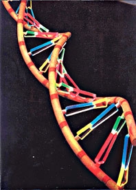 Hãy để ADN làm mai mối