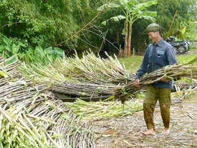 Yêu cầu bức thiết !