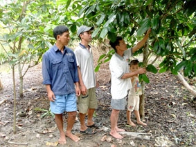 Cái gốc là sự nhân nghĩa