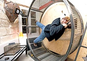 Thử một lần làm chuột!