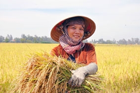 Khơi nguồn và tôn vinh nền văn minh lúa nước Việt Nam