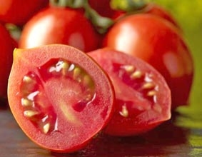 Cà chua... ngọt như đường