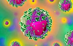 WHO: Nên điều trị bệnh nhân HIV sớm hơn