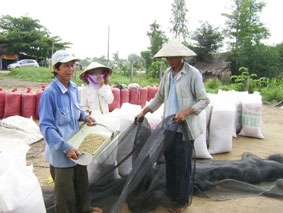 Cần tăng cường liên kết vùng và tham gia của "4 nhà"