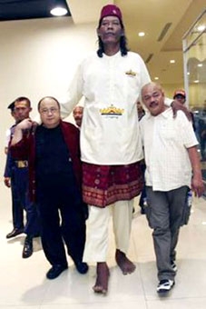 Người đàn ông cao nhất 
thế giới là người Indonesia?