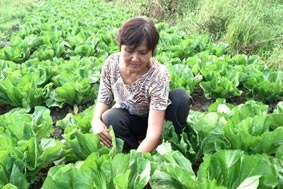 Chị Năm Yên Hạ...