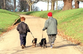 “Chuyên gia trị liệu” thầm lặng