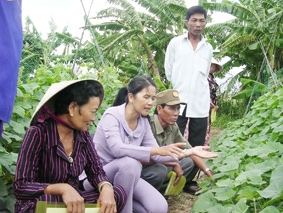 "Nhịp cầu" đưa thành quả nghiên cứu khoa học đi vào cuộc sống