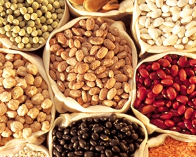 Tuyệt vời chất xơ