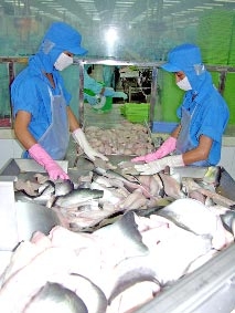 Cần tổ chức lại quy trình sản xuất - tiêu thụ