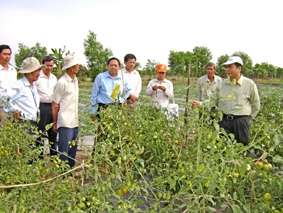 Tạo điều kiện duy trì và phát triển các làng nghề hoa kiểng, rau màu
