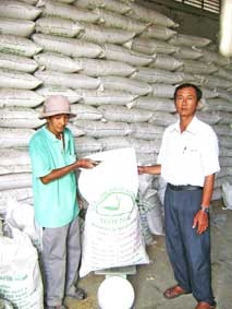 Bước tiến mới ở Hợp tác xã Giống Nông nghiệp Thốt Nốt